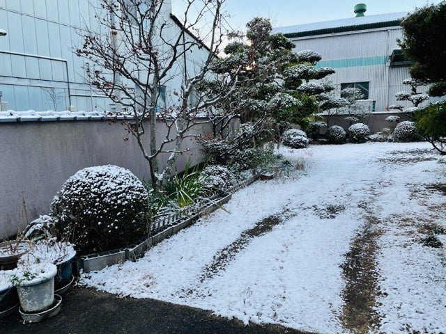 今年はじめての雪。