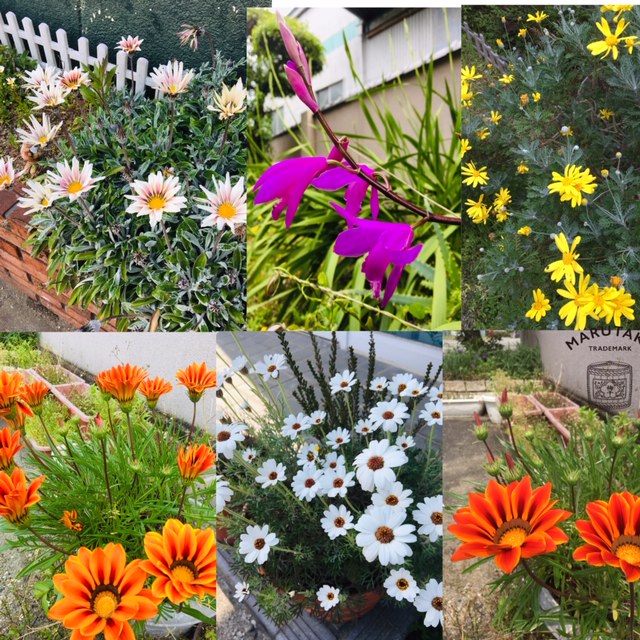 きれいでしょう！！