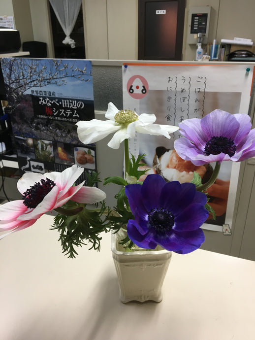 可愛いですね。