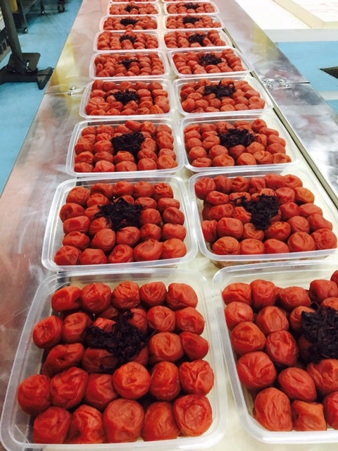 和歌山も梅雨入りとなりました。