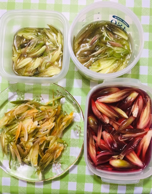 茗荷を頂きました。